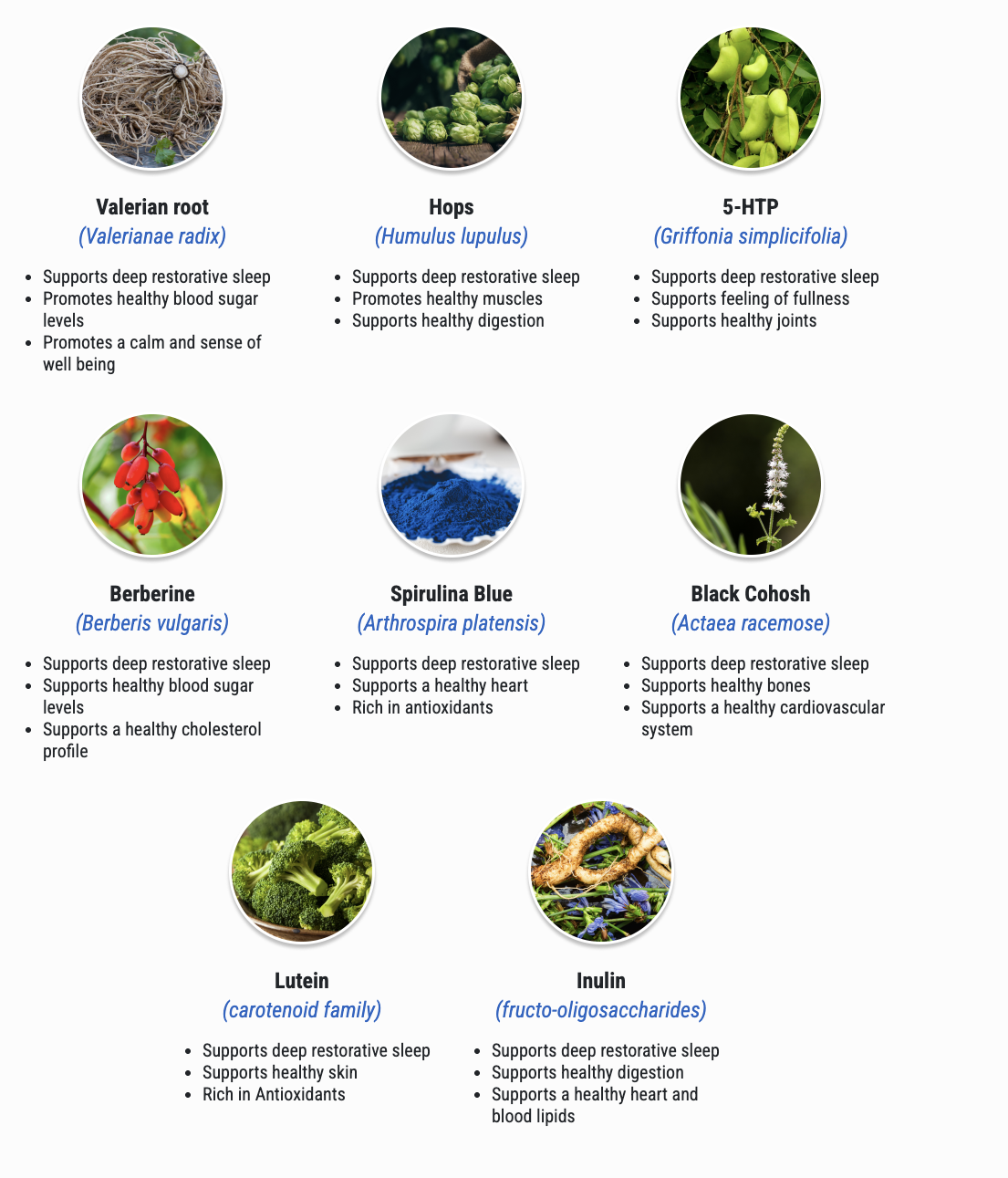 Sumatra Slim Belly Tonic Ingredients Explained: What’s Inside the Blue Tonic?