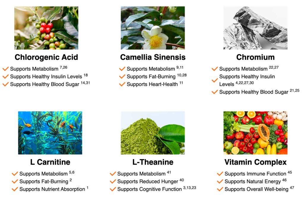 Java Burn Ingredients